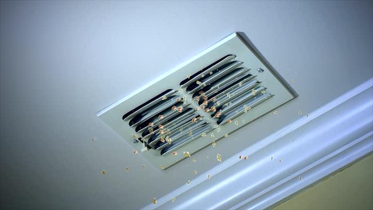Best Air Duct Cleaning Near Me  in Prudenville, MI